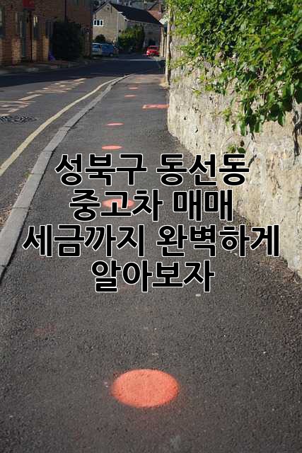 성북구 동선동 중고차 매매, 세금까지 완벽하게 알아보자!