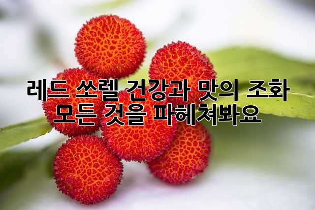 레드 쏘렐: 건강과 맛의 조화, 모든 것을 파헤쳐봐요!
