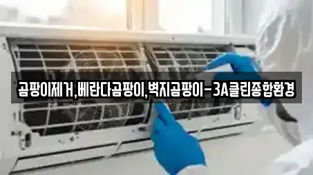 곰팡이제거,베란다곰팡이,벽지곰팡이-3A클린종합환경