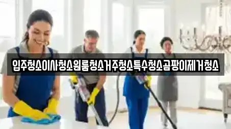 입주청소이사청소원룸청소거주청소특수청소곰팡이제거청소