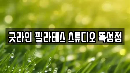 굿라인 필라테스 스튜디오 뚝섬점