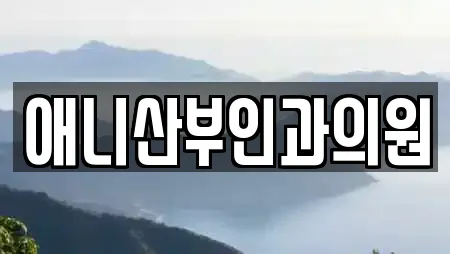 애니산부인과의원