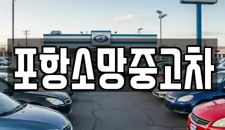 포항소망중고차