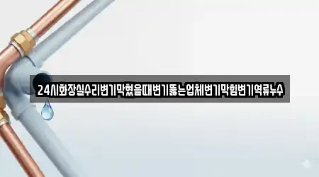 24시화장실수리변기막혔을때변기뚫는업체변기막힘변기역류누수