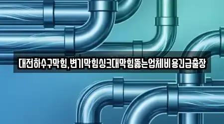 대전하수구막힘,변기막힘싱크대막힘뚫는업체비용긴급출장