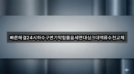 빠른해결24시하수구변기막힘뚫음세면대싱크대역류수전교체