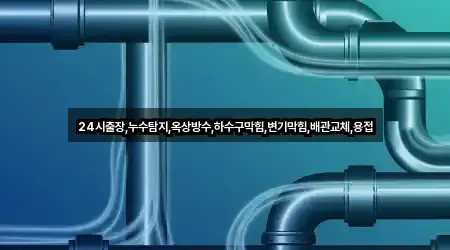 24시출장,누수탐지,옥상방수,하수구막힘,변기막힘,배관교체,용접