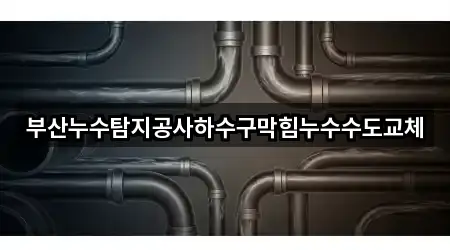 부산누수탐지공사하수구막힘누수수도교체