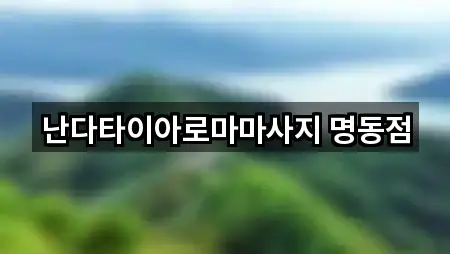 난다타이아로마마사지 명동점