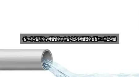 싱크대막힘하수구막힘방수누수탐지변기막힘집수정청소오수관막힘