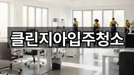 클린지아입주청소