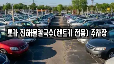 강원 삼척시 원당동 렌트카 전문 쏘카 진해물칼국수(렌트카 전용) 주차장