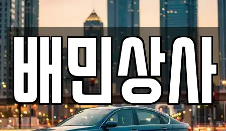 강원특별자치도 삼척시 성남동 중고차 전문 배민상사