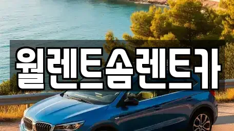 경기 성남시 분당구 야탑동 렌트카 전문 월렌트솜렌트카