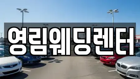 경기 성남시 분당구 야탑동 장기렌트카 전문 영림웨딩렌터