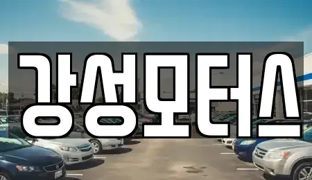 경기 성남시 분당구 야탑동 중고차 전문 강성모터스