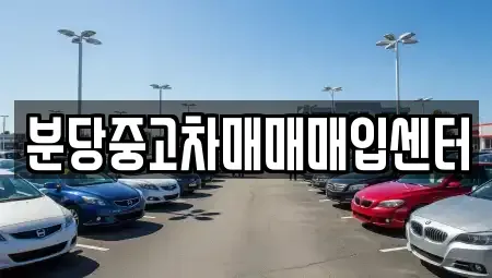 경기 성남시 분당구 야탑동 중고차 전문 분당중고차매매매입센터