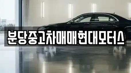 경기 성남시 분당구 야탑동 중고차 전문 분당중고차매매현대모터스