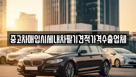 경기 성남시 분당구 야탑동 중고차매입 전문 중고차매입시세내차팔기견적가격수출업체