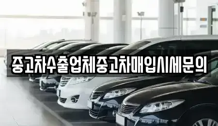 경기 성남시 분당구 야탑동 중고차매입 전문 중고차수출업체중고차매입시세문의