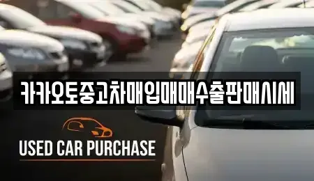 경기 성남시 분당구 야탑동 중고차매입 전문 카카오토중고차매입매매수출판매시세