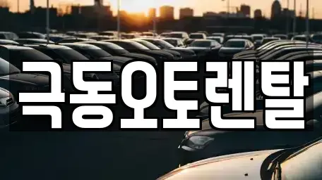 경상북도 경산시 백천동 렌트카 전문 극동오토렌탈