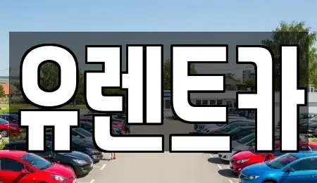 경상북도 경산시 백천동 렌트카 전문 유렌트카