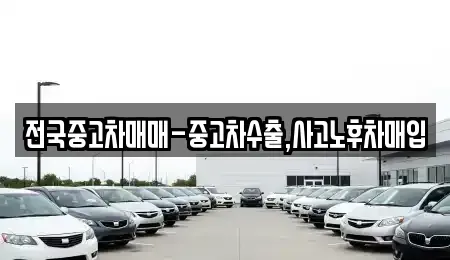 경상북도 경산시 백천동 중고차매매 전문 전국중고차매매-중고차수출,사고노후차매입