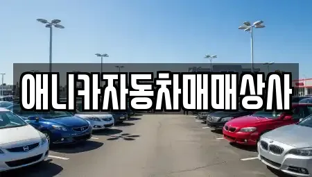경상북도 김천시 아포읍 중고차 전문 애니카자동차매매상사