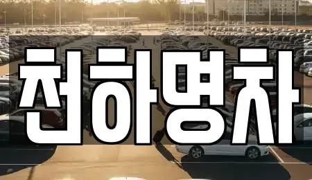 경상북도 김천시 아포읍 중고차매입 전문 천하명차