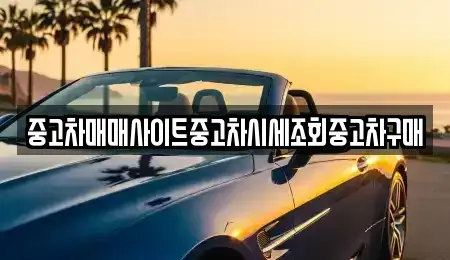 서울 마포구 용강동 중고차매매 전문 중고차매매사이트중고차시세조회중고차구매