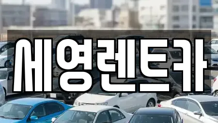 전북 전주시 덕진구 팔복동3가 렌트카 전문 세영렌트카