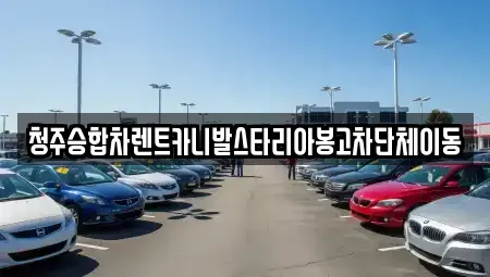 충북 청주시 흥덕구 송정동 렌트카 전문 청주승합차렌트카니발스타리아봉고차단체이동