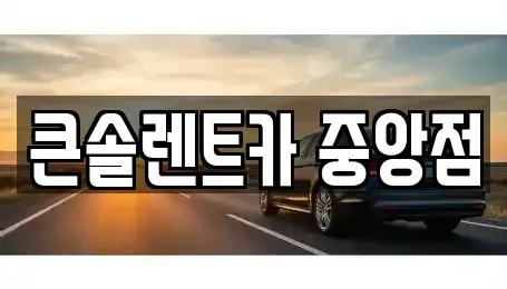 충북 청주시 흥덕구 송정동 렌트카 전문 큰솔렌트카 중앙점