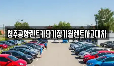충북 청주시 흥덕구 송정동 장기렌트카 전문 청주공항렌트카단기장기월렌트사고대차