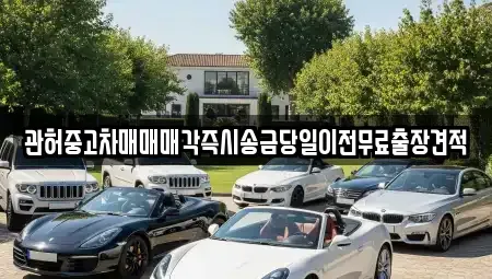 충북 청주시 흥덕구 송정동 중고차 전문 관허중고차매매매각즉시송금당일이전무료출장견적