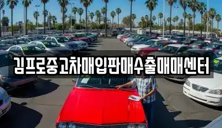 충북 청주시 흥덕구 송정동 중고차매입 전문 김프로중고차매입판매수출매매센터