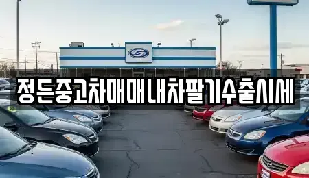 충청북도 충주시 엄정면 중고차매매 전문 정든중고차매매내차팔기수출시세