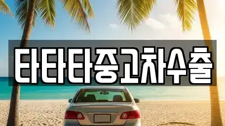 충청북도 충주시 엄정면 중고차매매 전문 타타타중고차수출